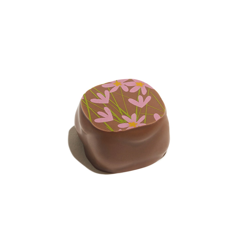 Milk Elderberry and Macadamia Ganache
