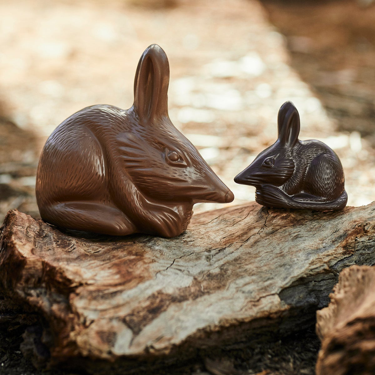 30 Years of Easter Bilby